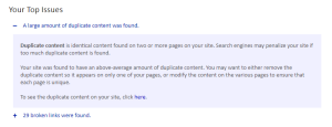 Duplicate content is very bad for a website and will kill your online presence.