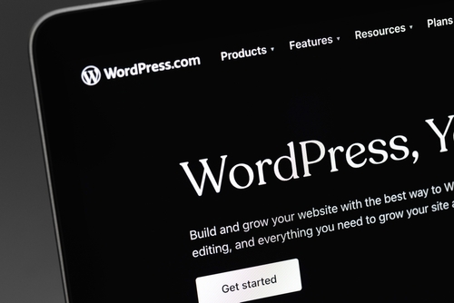 Wordpress for SEO